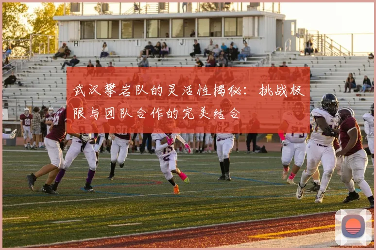 武汉攀岩队的灵活性揭秘：挑战极限与团队合作的完美结合